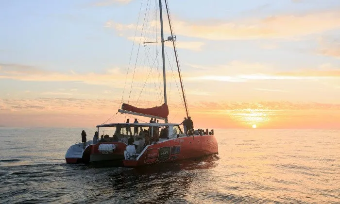 90-Minute Catamaran Champagne Sunset Cruise with Waterfront Boat Tours