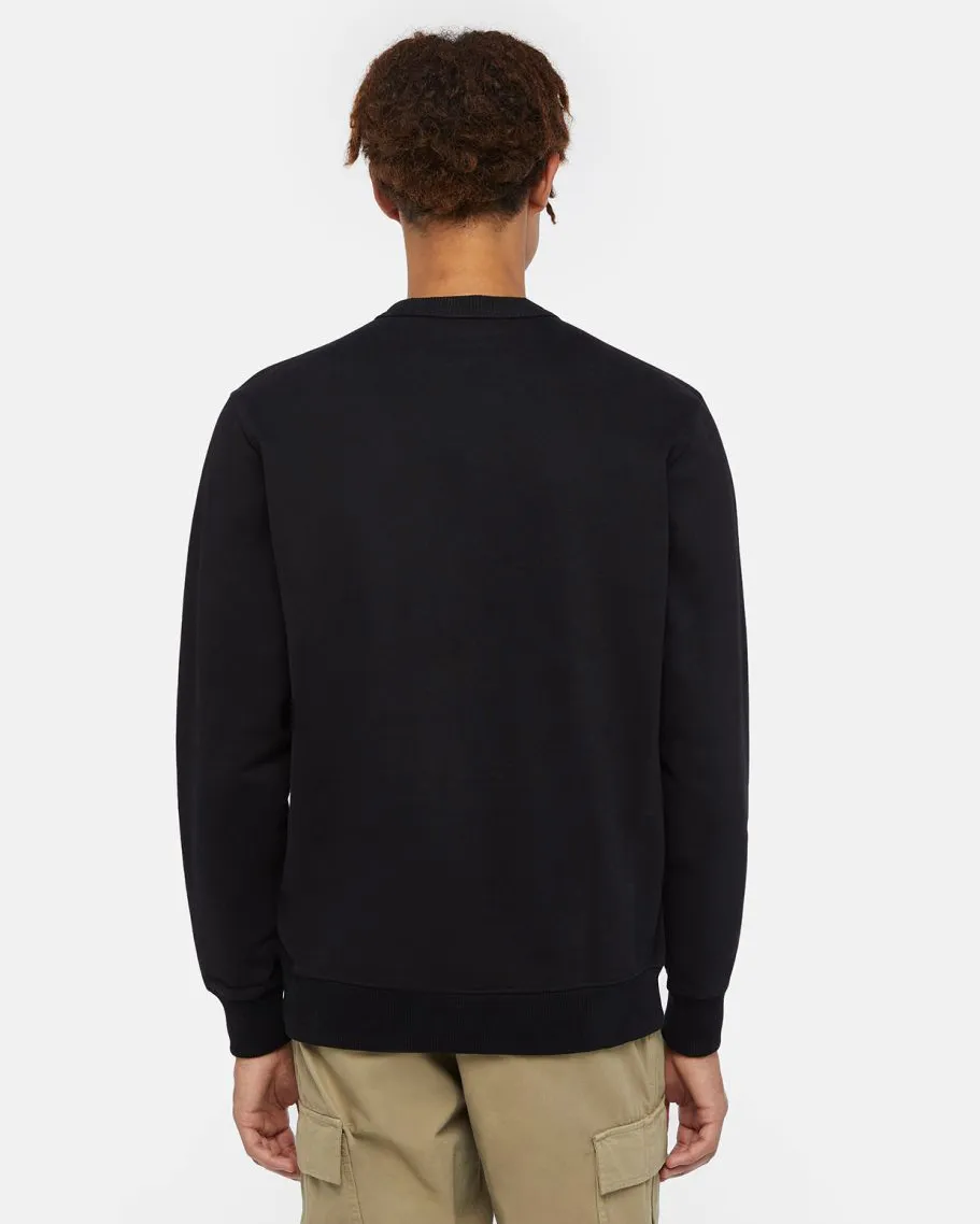 Aitkin Sweatshirt in Black & Plum