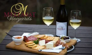 Gourmet Platter with Wine Tasting for 2 at The Vineyard Bistro at Mellasat