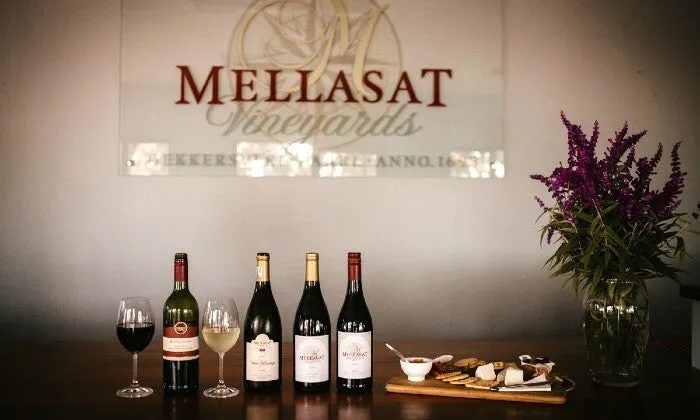 Gourmet Platter with Wine Tasting for 2 at The Vineyard Bistro at Mellasat