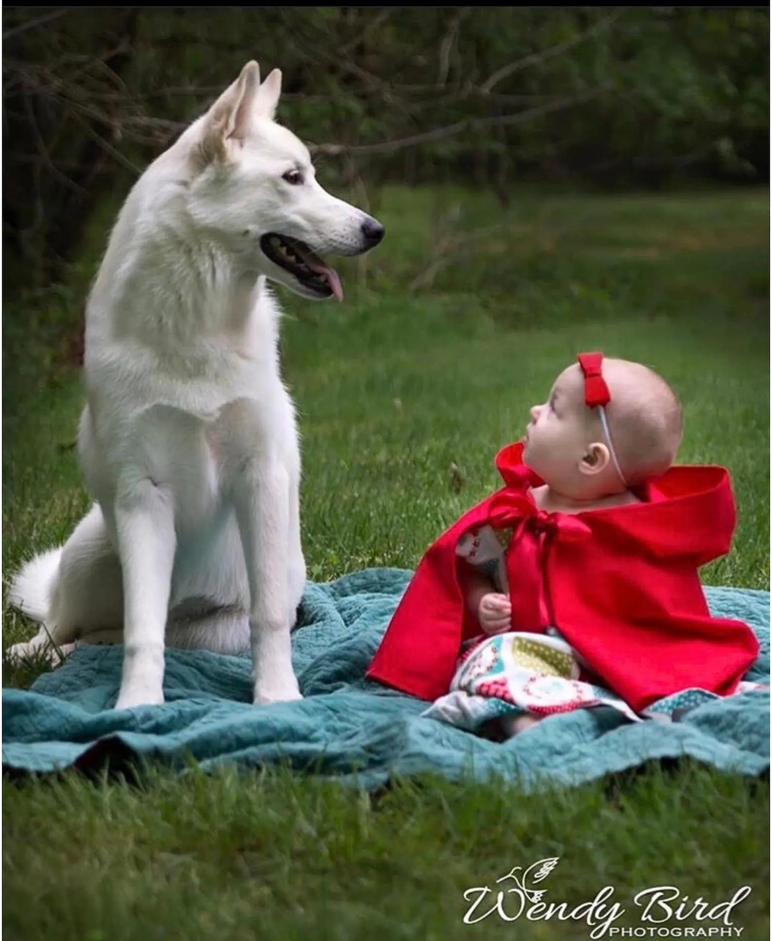 Halloween Red Riding Hood Cape