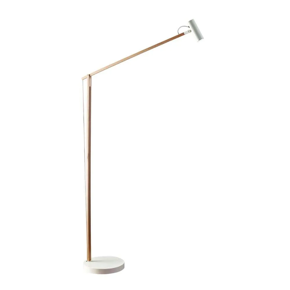 Local Floor Lamp