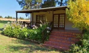 Western Cape: 1 or 2-Night anytime self-catering stay for two at Killarney Cottages